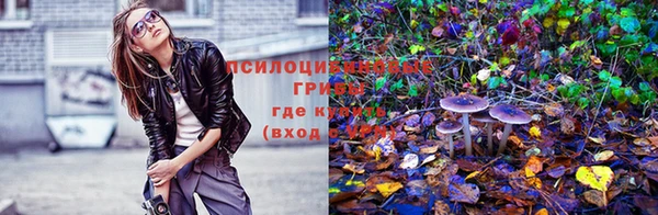 бошки Балахна